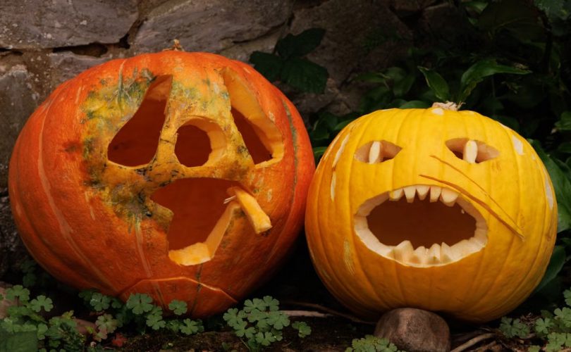 Two carved pumpkins with spooky faces sit outdoors, perfect for Halloween decoration.